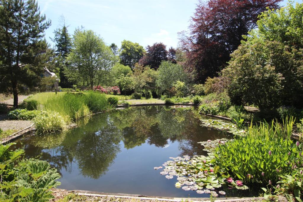 pond 2.JPG
