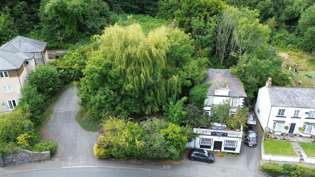 DJI 0783 T202509020913.jpg