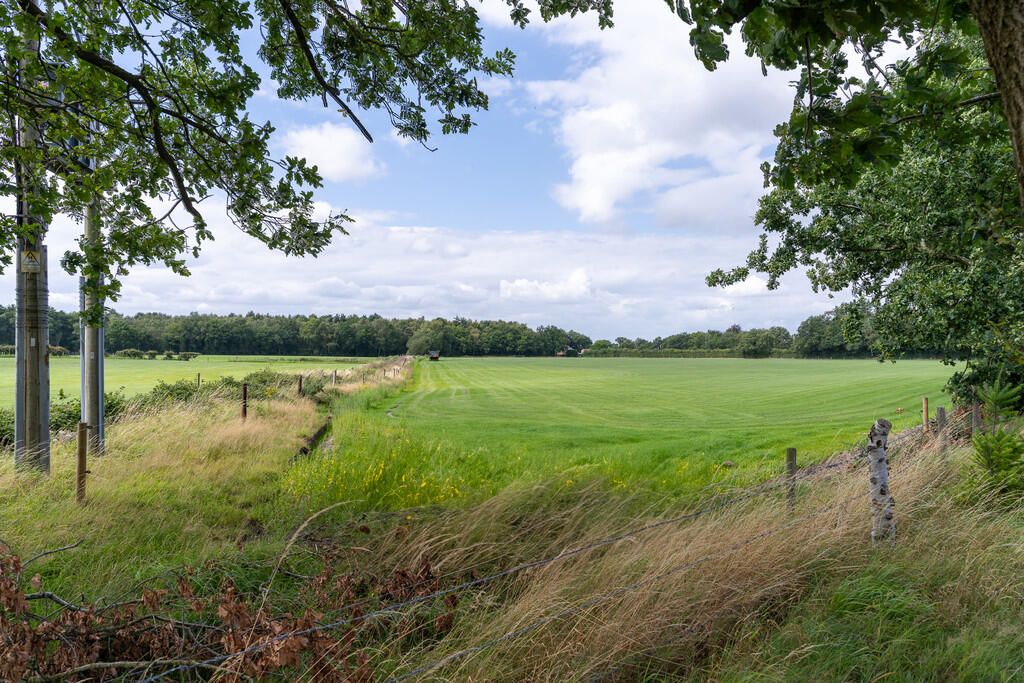 Little Brook Harr...