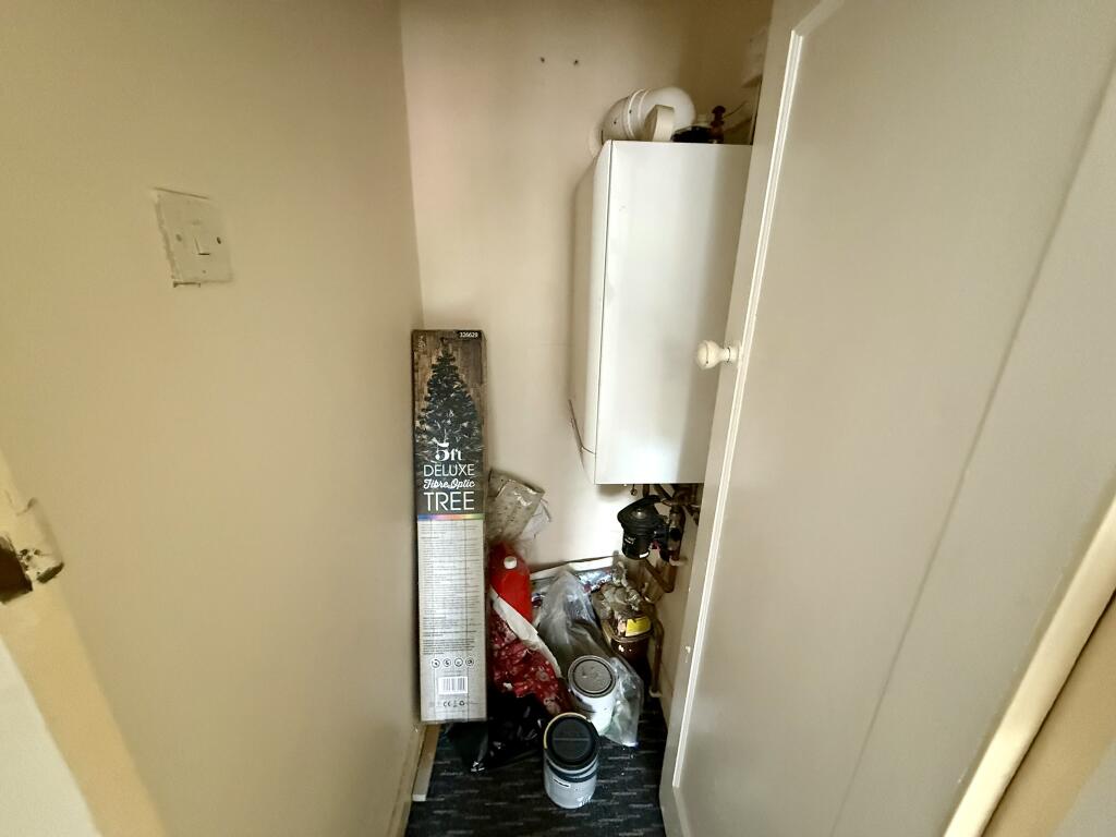 IMG 1142 T202505192202.jpeg