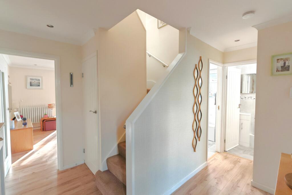 IMG_20241125_134637_edit_904087340318920