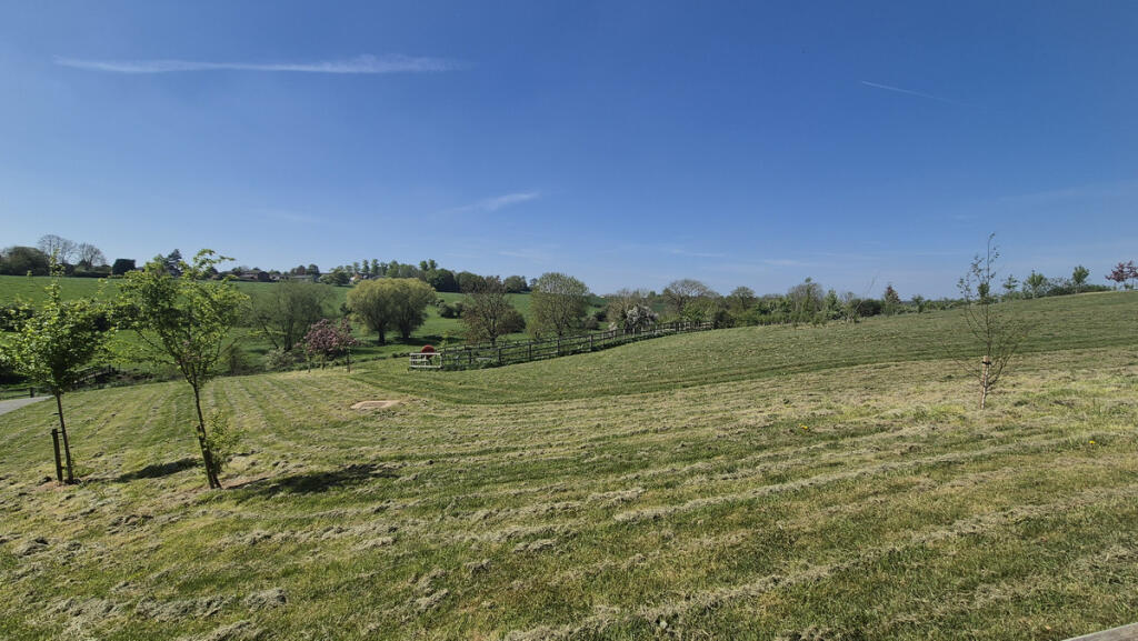 Surrounding Area