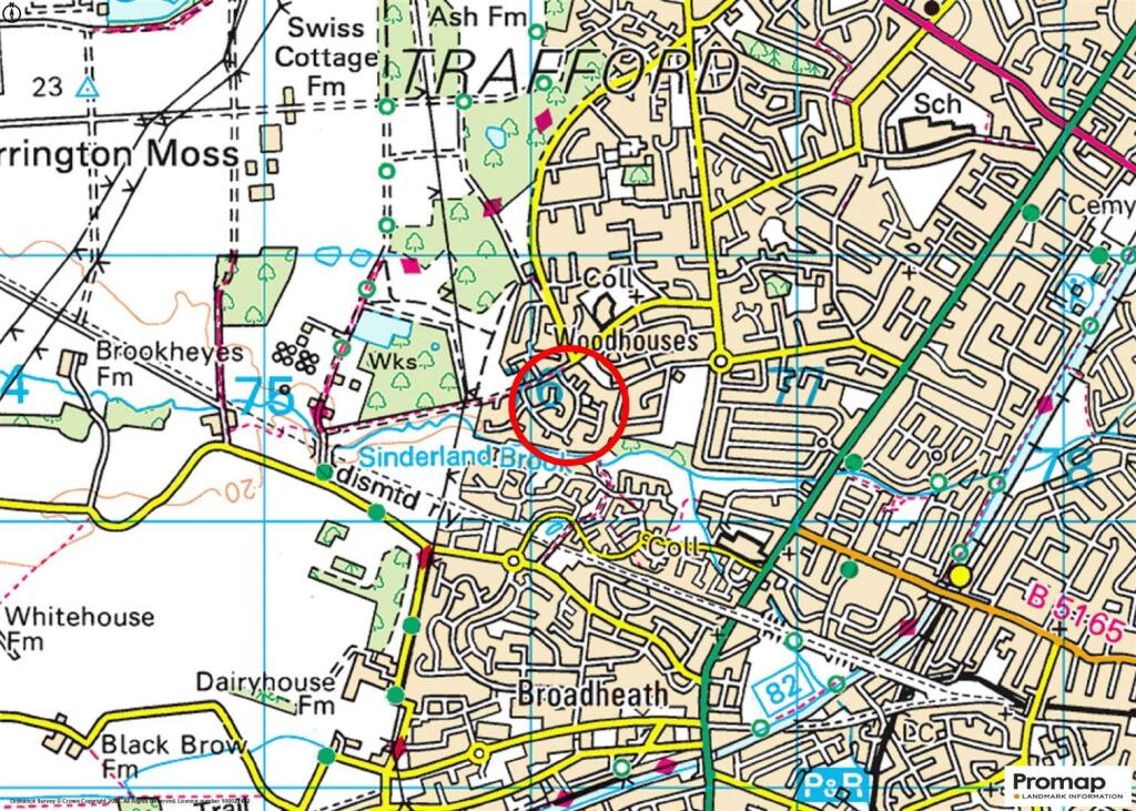 Town Plan