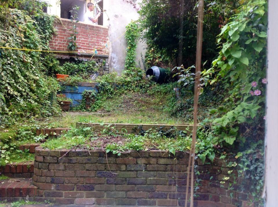 A charming garden space with lush greenery and ...