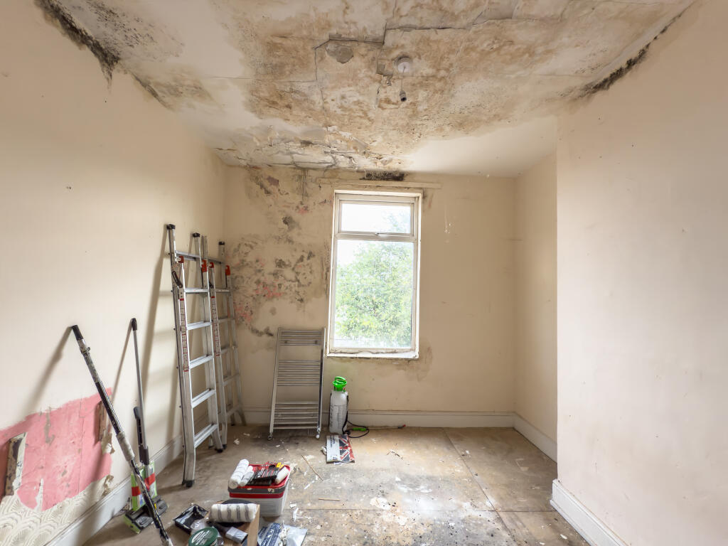 IMG 0109 T202506291746.jpg