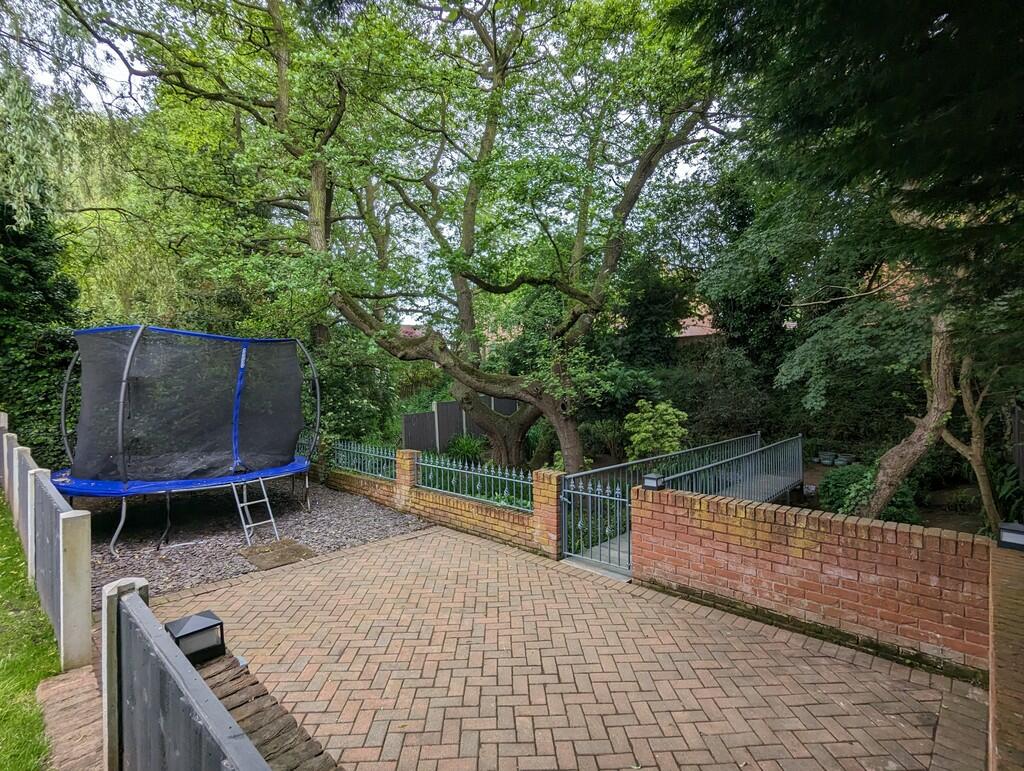 garden 1