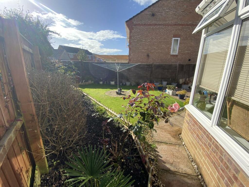 IMG_0599 (Large).JPG