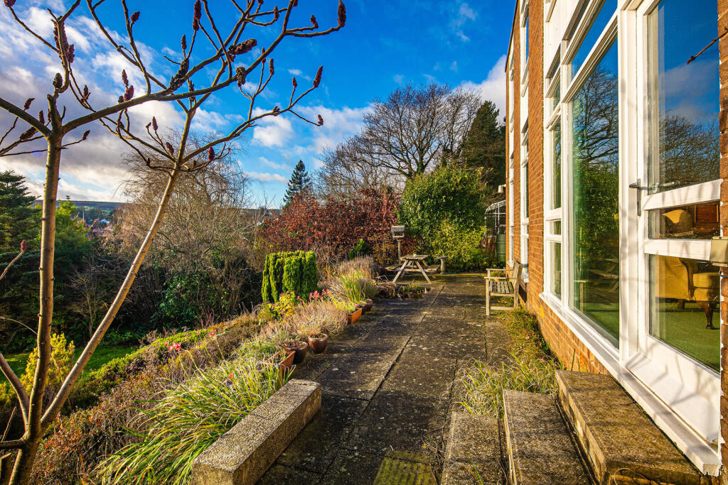 Terrace / Patio