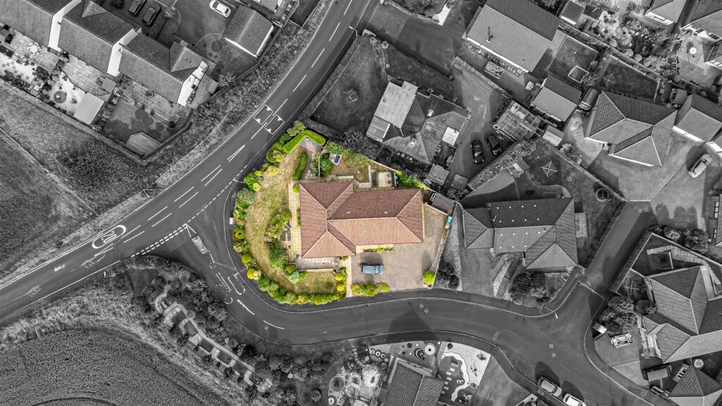 untitled (35 of 1).JPG