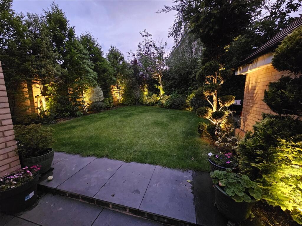 Nightime Garden