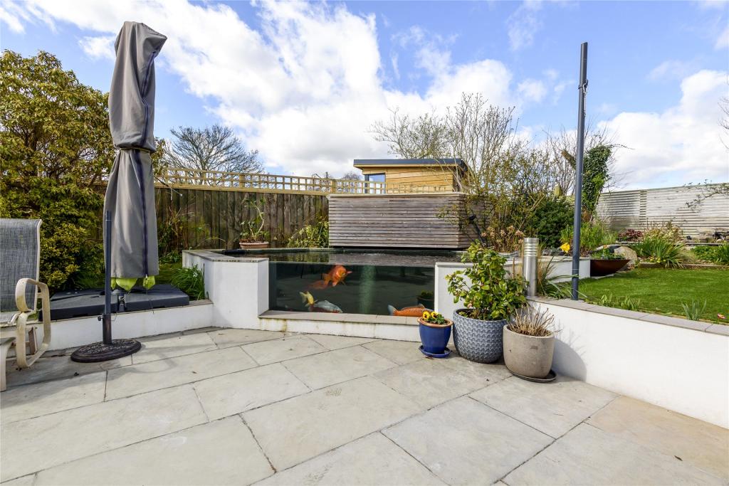 Patio &amp; Pond