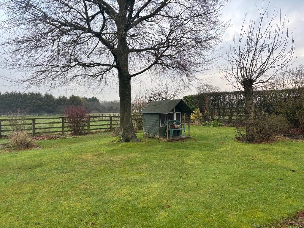 Rear garden