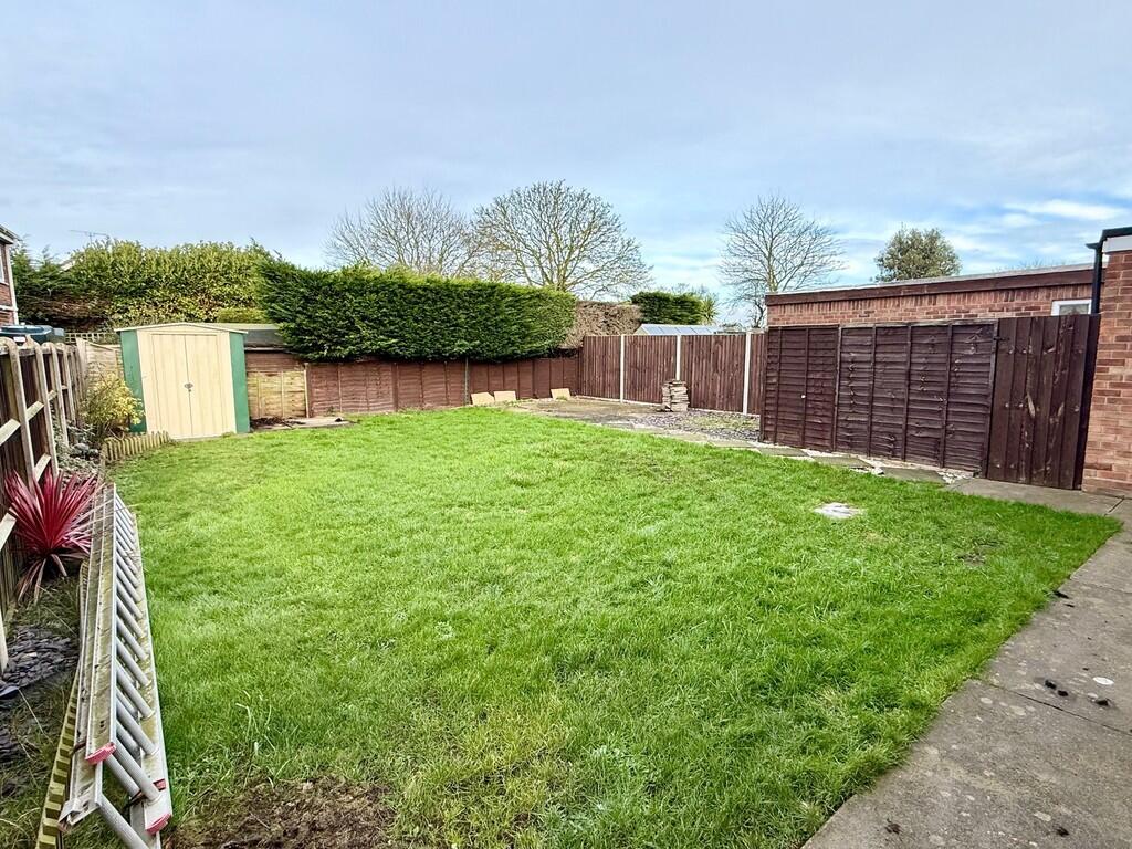 back garden