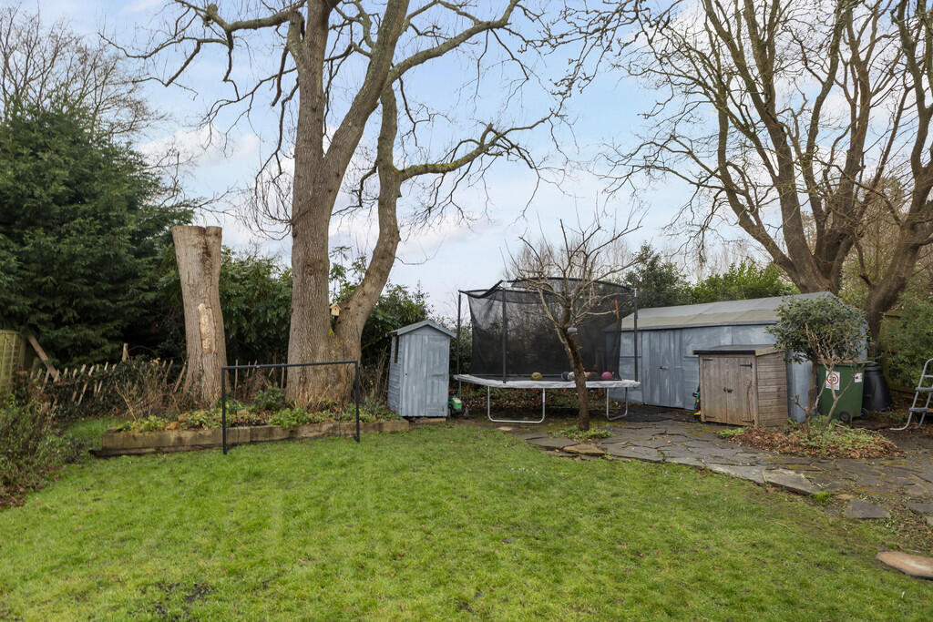 baytrees-for-with...