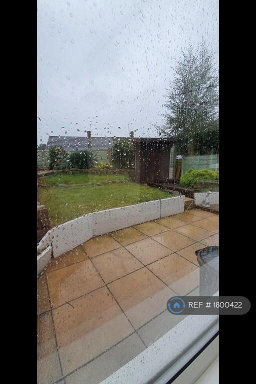 Garden View From Conservatory