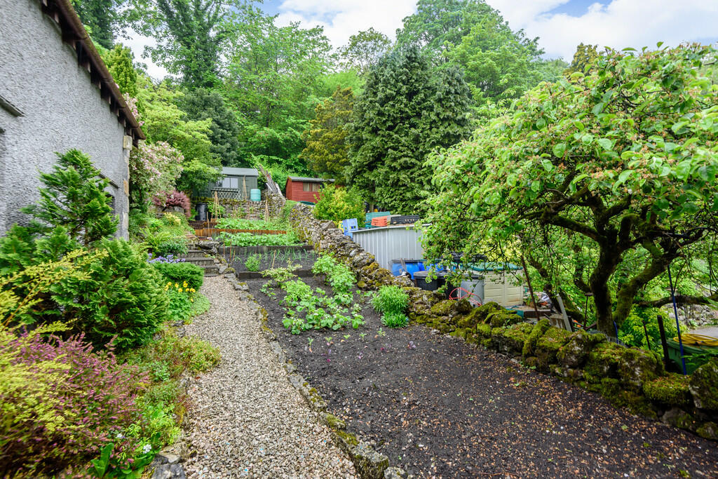 Side Garden