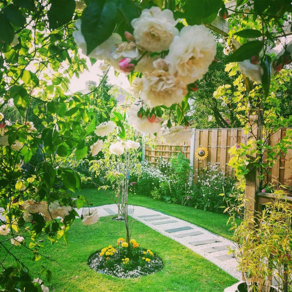 GARDEN IN SUMMER