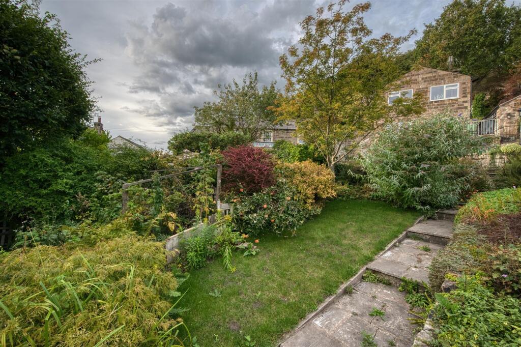 Garden - lawn and apple tree.jpg