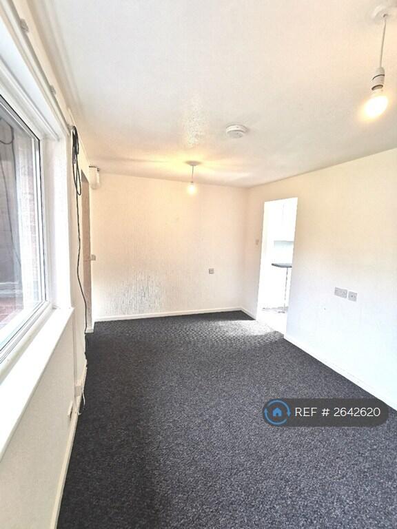 Living / Bedroom Area