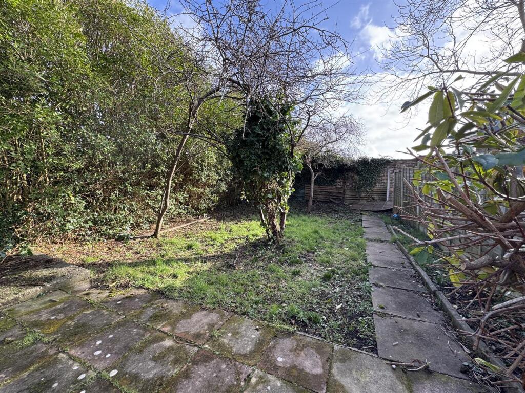 IMG_2317 (Large).JPG