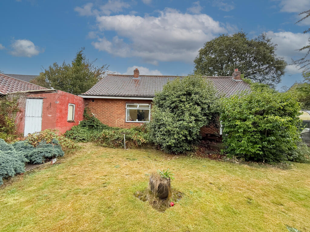 IMG 4163 T202509171429.jpg