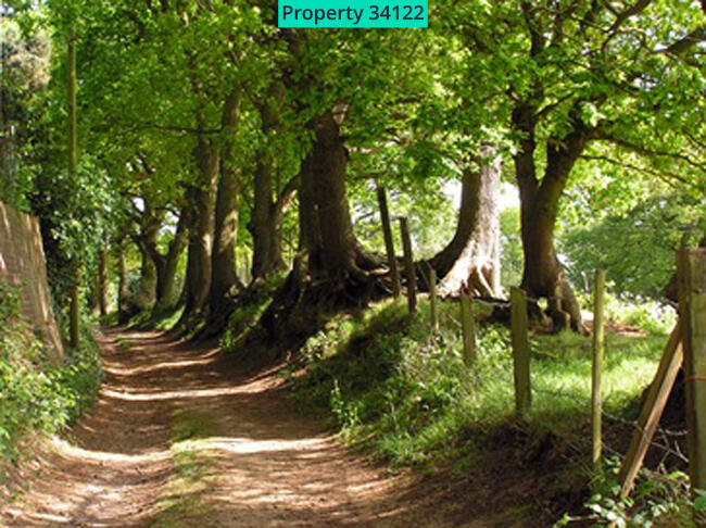 Local walk following