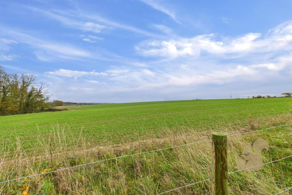 Field Views