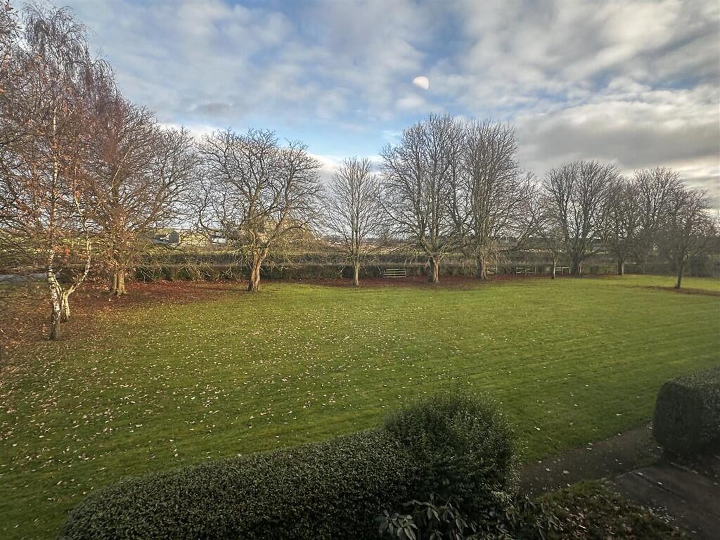 Open Views