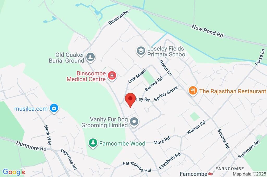 Google Maps Image