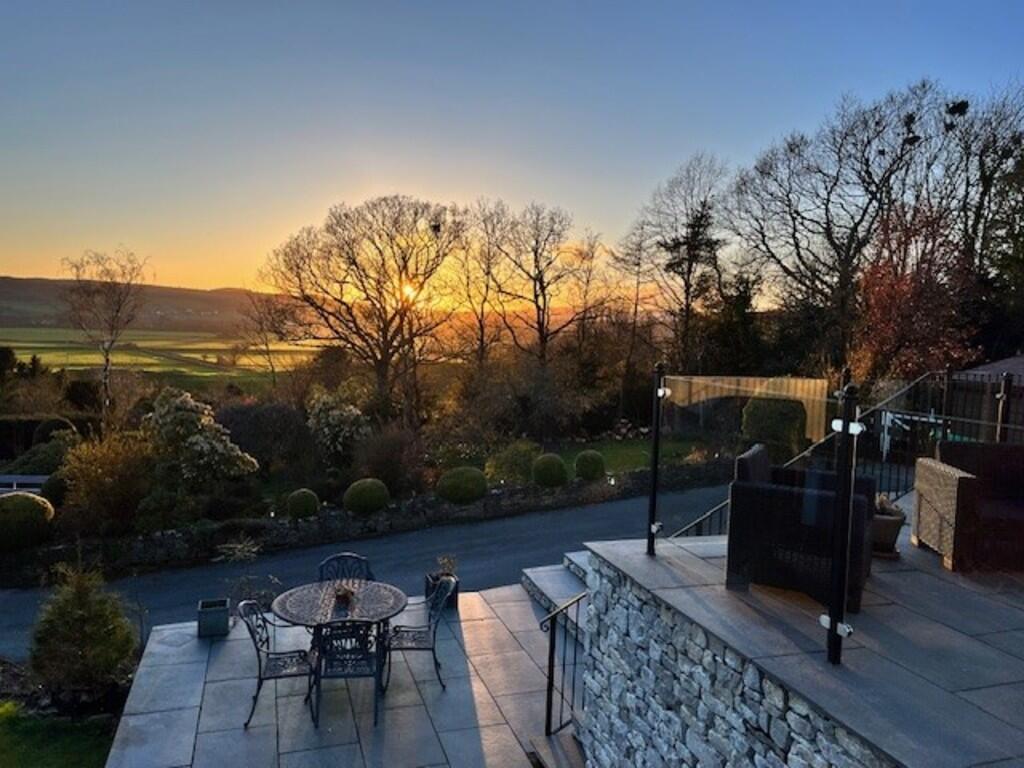 Vendor&#39;s Own Phot...