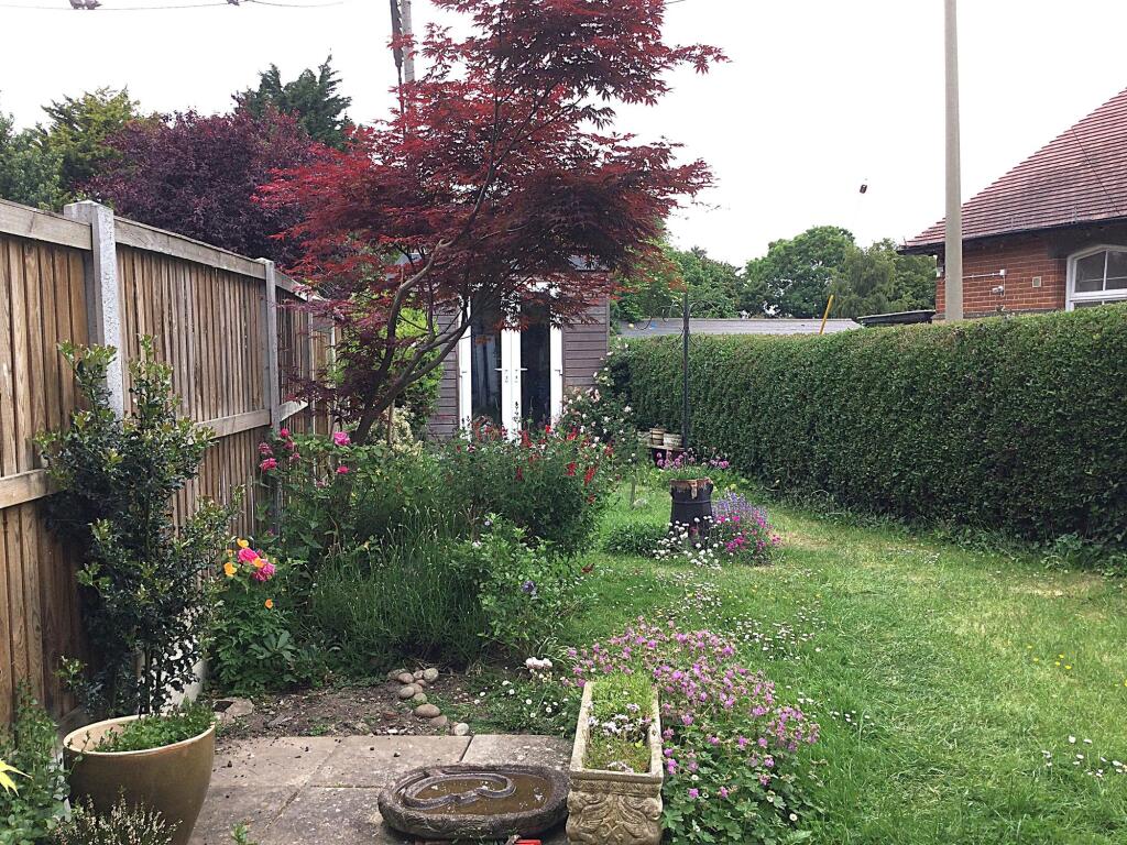 Garden (3)