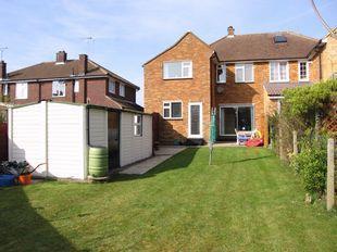 Rear Garden.jpg