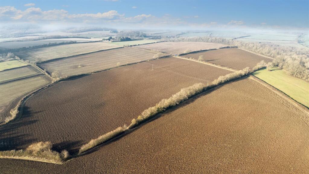 DJI_20250115140523_0004_Ddefault.jpeg