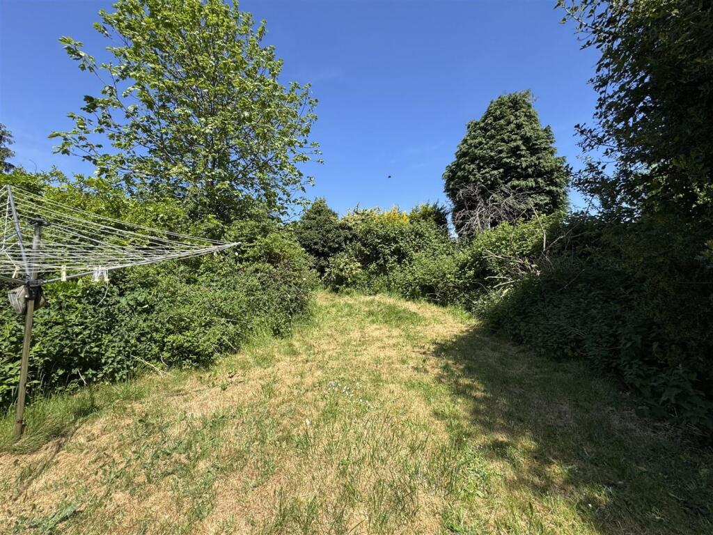 IMG_7742 (Large).JPG