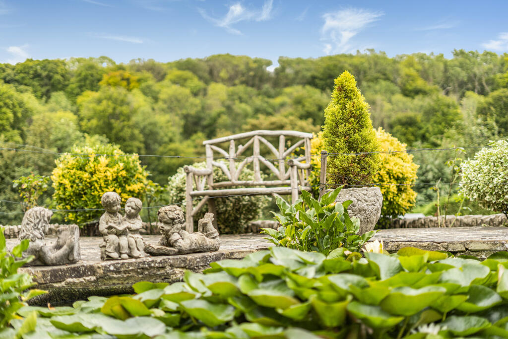 Pond