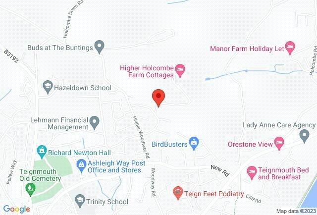 Google Maps Image