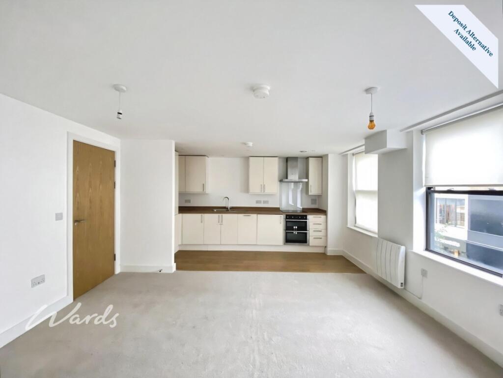Kitchen/Living Area