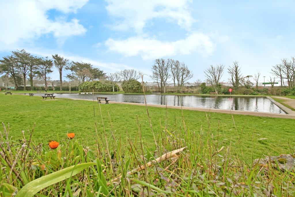 Duck Pond