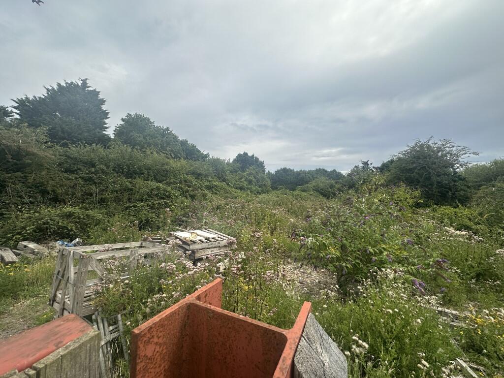 8  Medium  T202508131644.jpg
