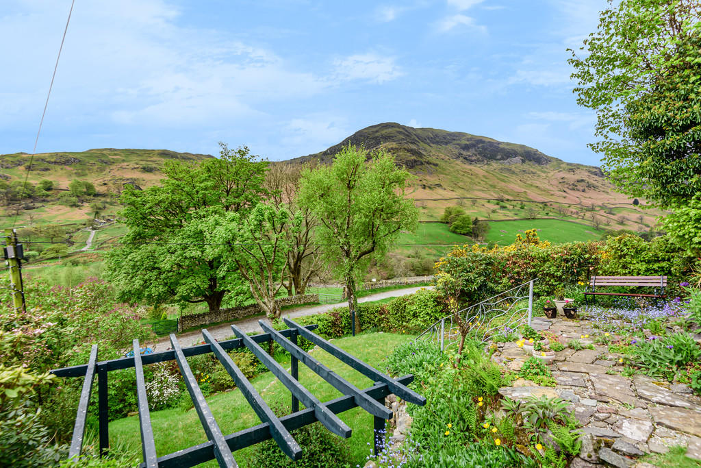 Garden and View