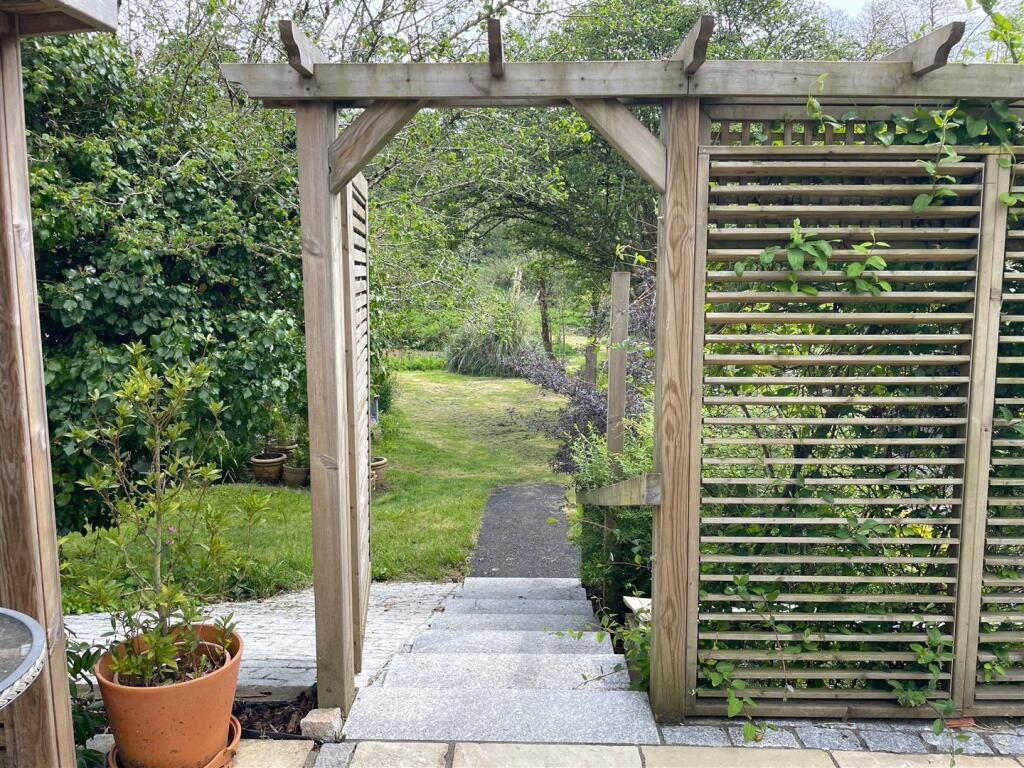 garden .jpeg