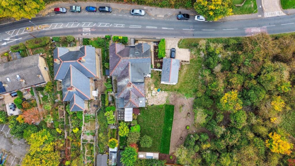 Drone Plot