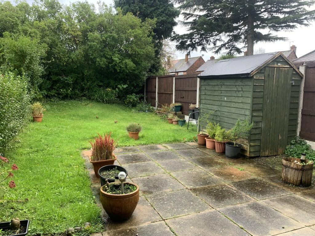Back Garden 