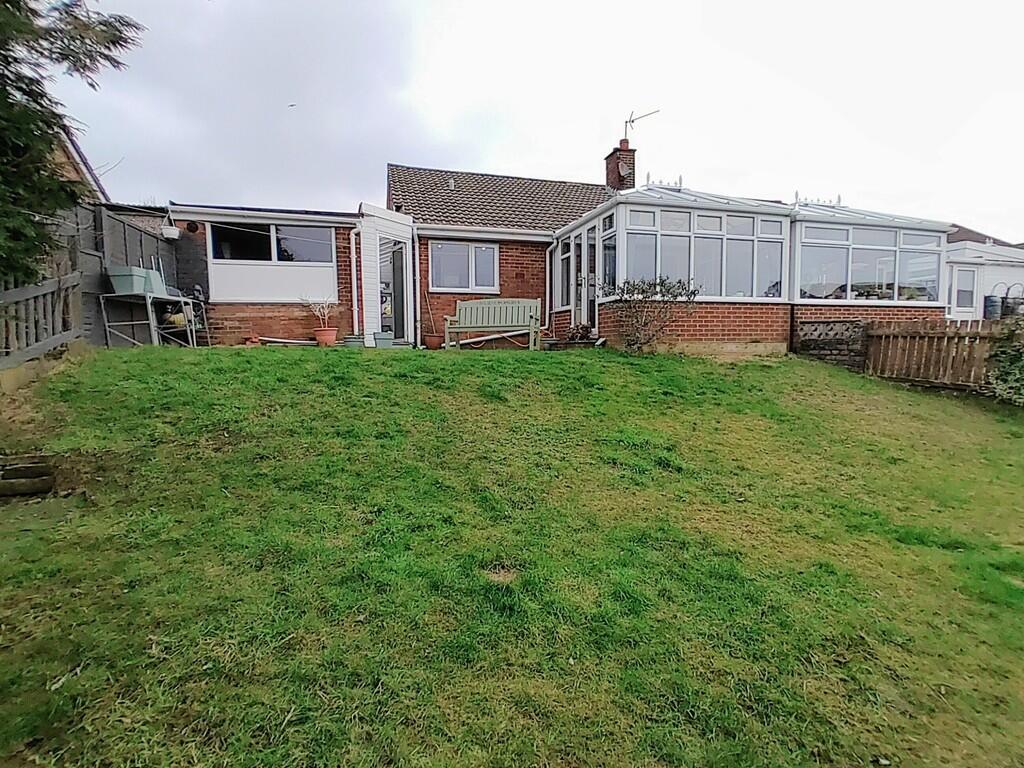 rear garden--