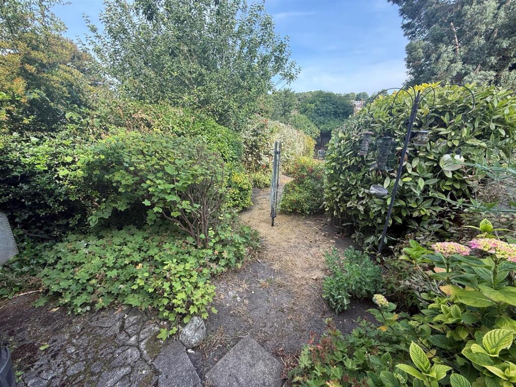 Shared Garden