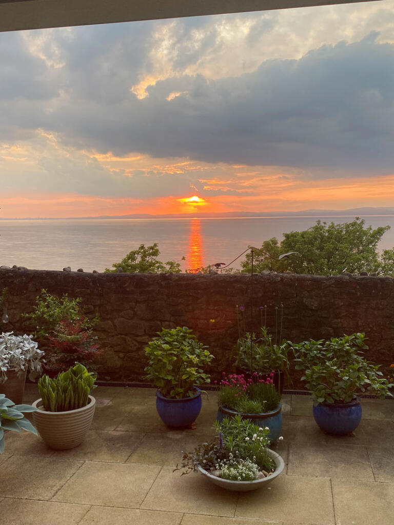 Patio Garden and view