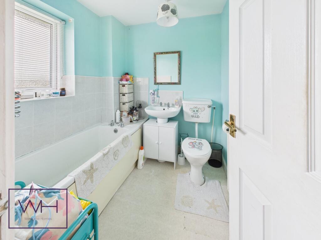 CAM03785G0-PR0239-ST