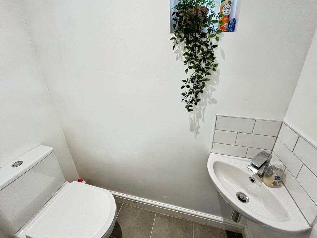 Picture 11