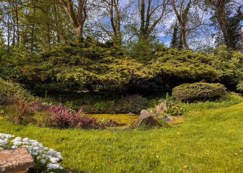NATURE POND