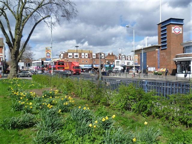 Ducketts Common